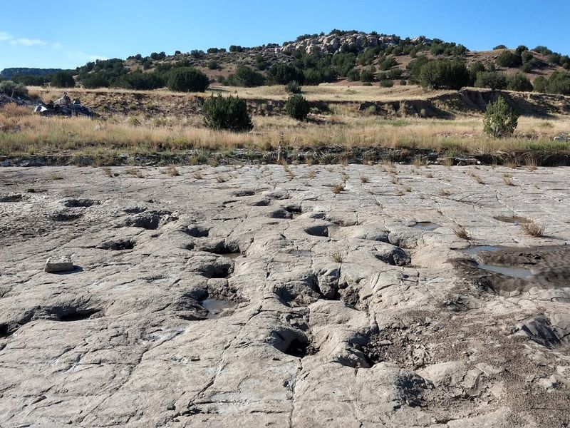 Picketwire Canyonlands Dinosaur Tracksite Picketwire Canyonlands Dinosaur Tracksite