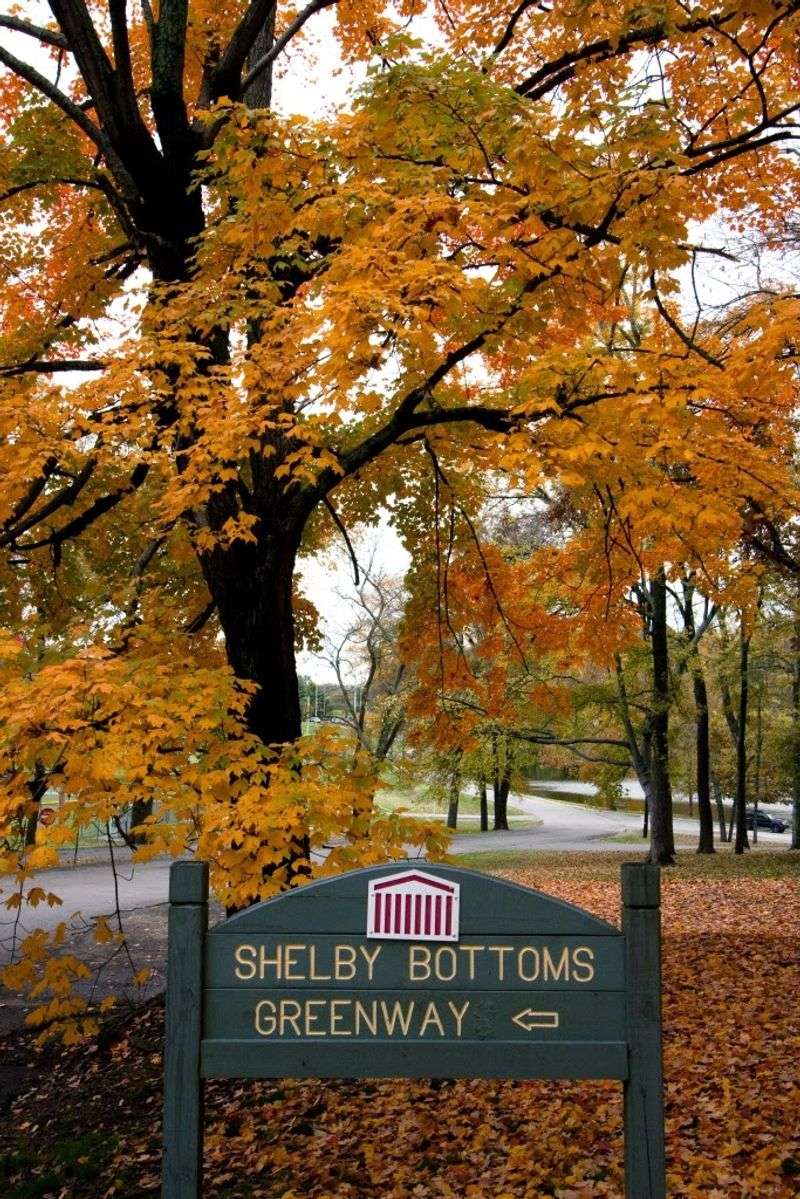 Shelby Bottoms Greenway and Nature Park