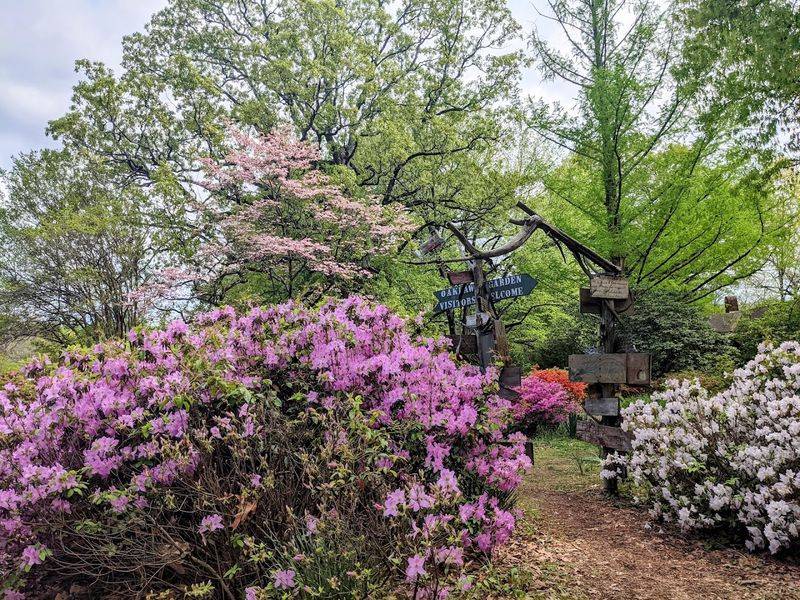 Oaklawn Garden — Germantown