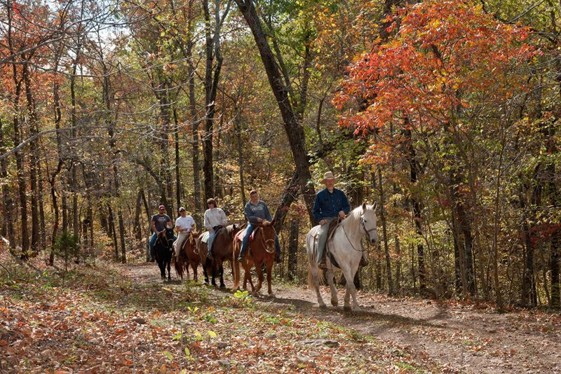 Rimrock Cove Ranch (Ponca) 
