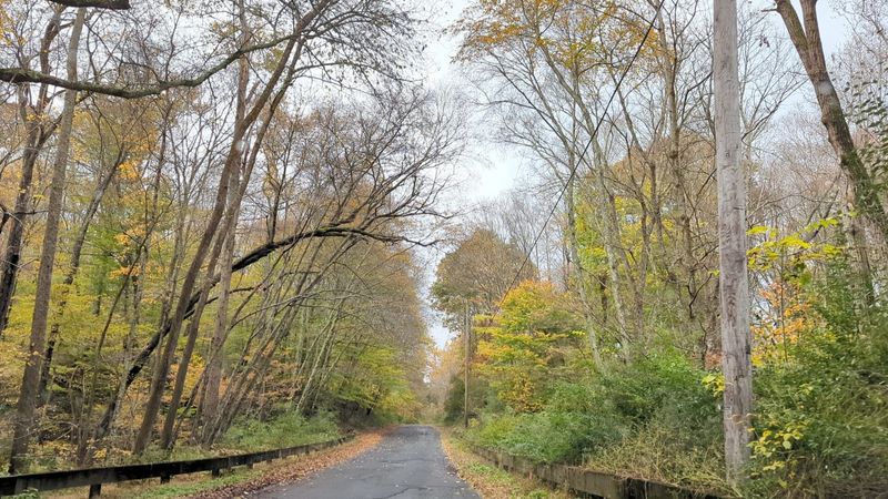 Old Mine Road
