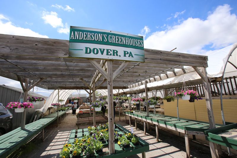 Outdoor vendors add unpredictability