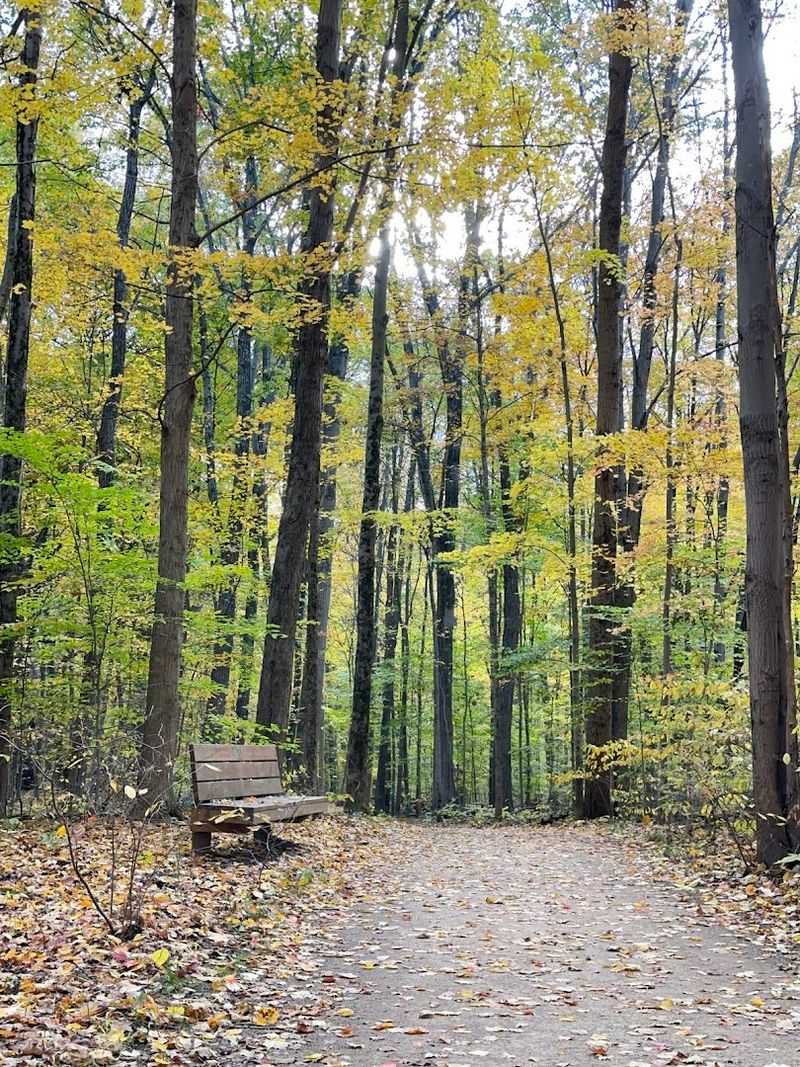 Overlook Trail at Highbanks Metro Park, Lewis Center
