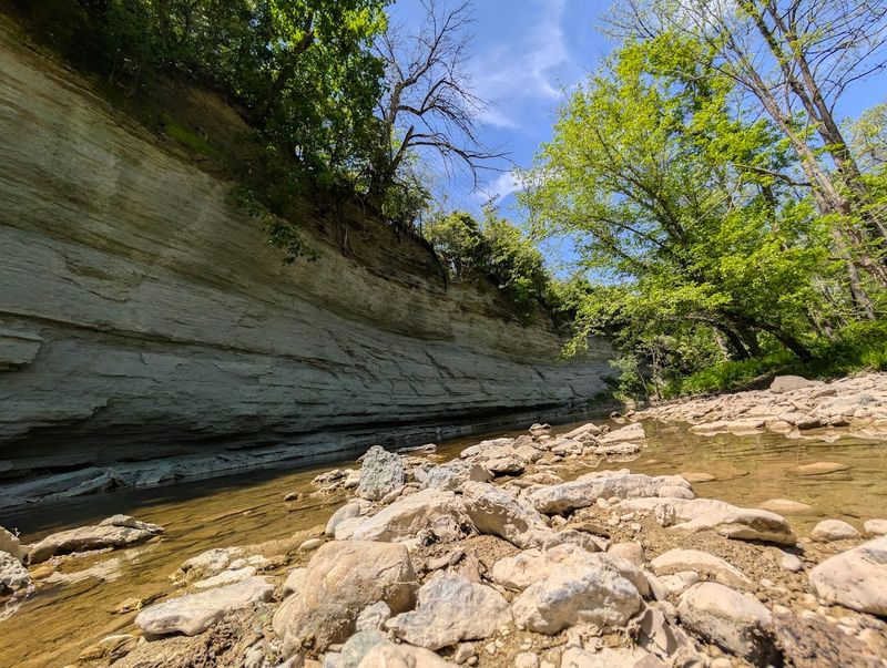 The Creek Edge Is Where the Adventure Gets Real The Creek Edge Is Where the Adventure Gets Real