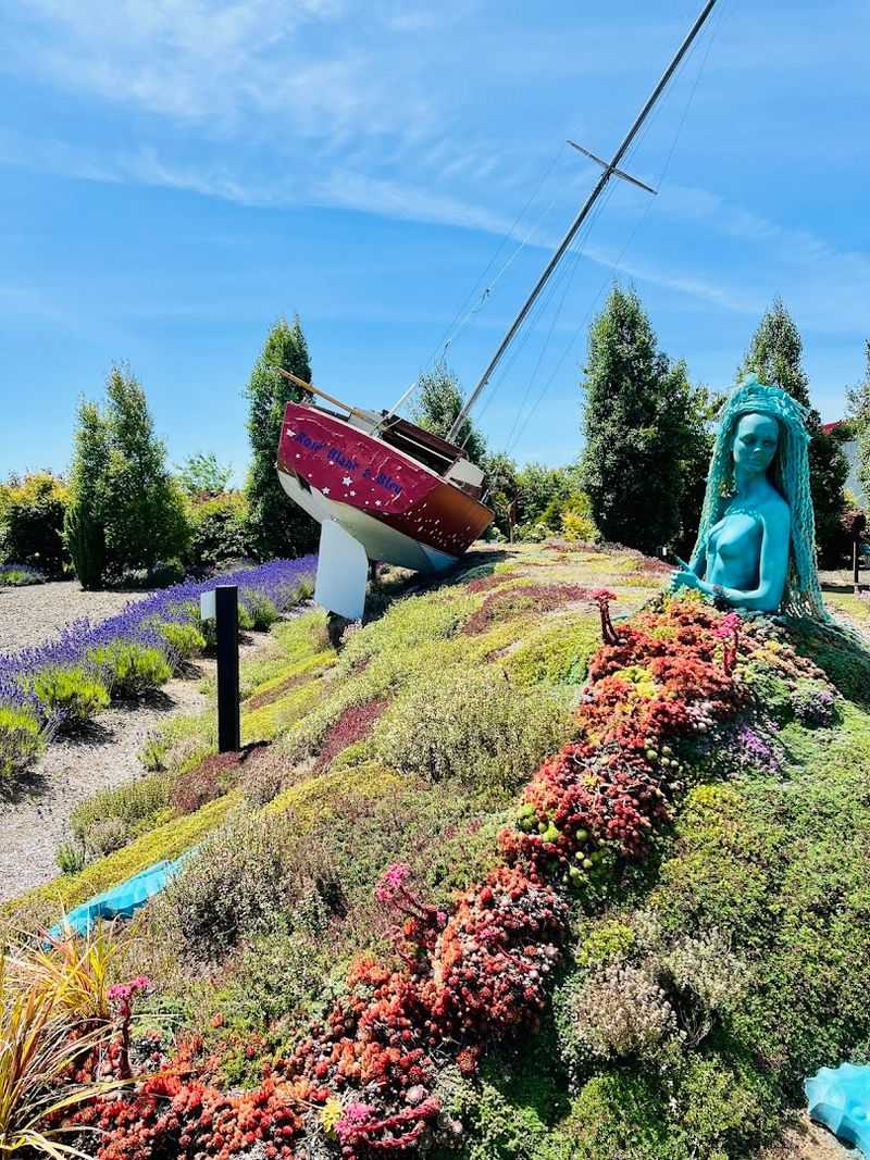 A local identity rooted in coast, folklore, and conservation A local identity rooted in coast, folklore, and conservation