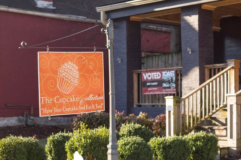 The Cupcake Collection — Donelson