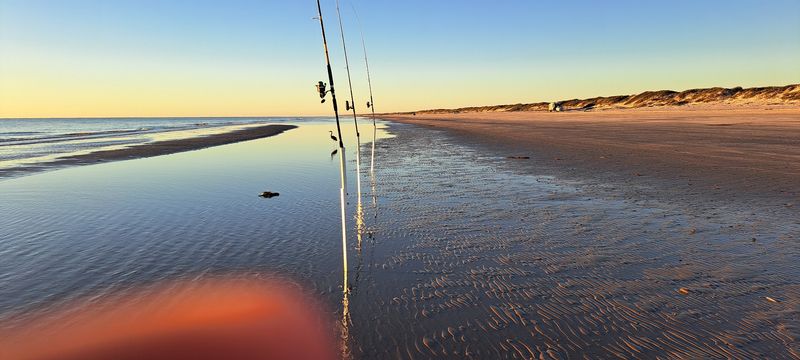 Padre Island National Seashore