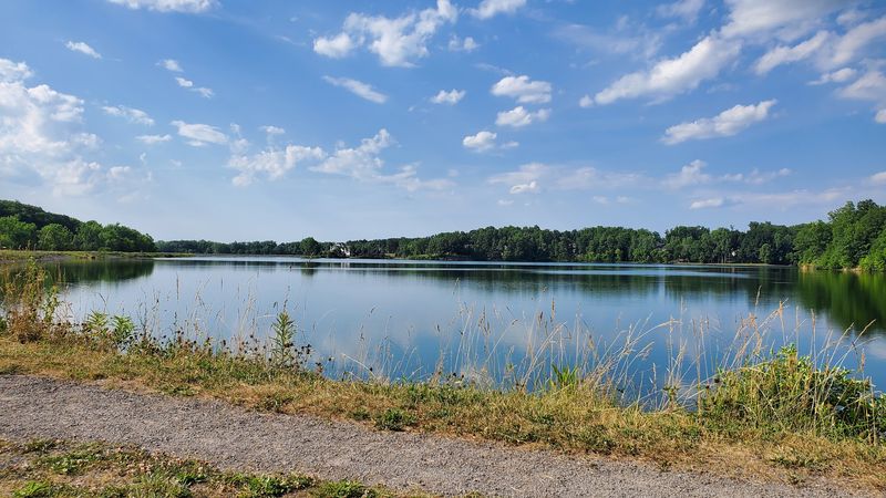 Parks and Everyday Green Space