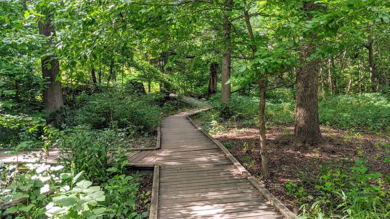 Peaceful, free, and surprisingly accessible Peaceful, free, and surprisingly accessible