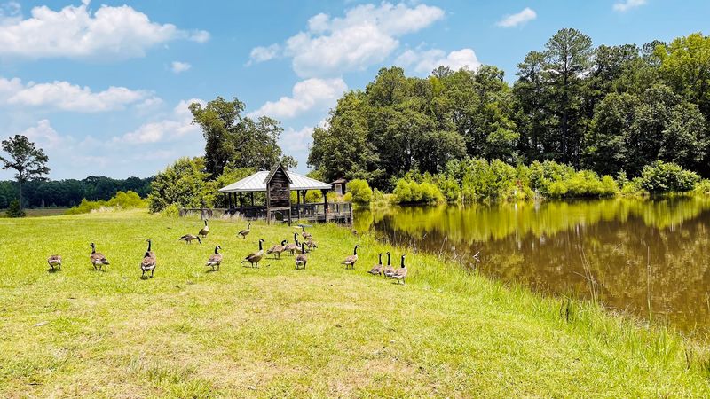 Pee Dee National Wildlife Refuge