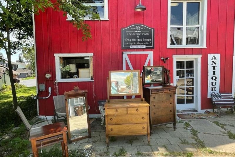 Perfect For Browsers, Decorators, And Serious Collectors