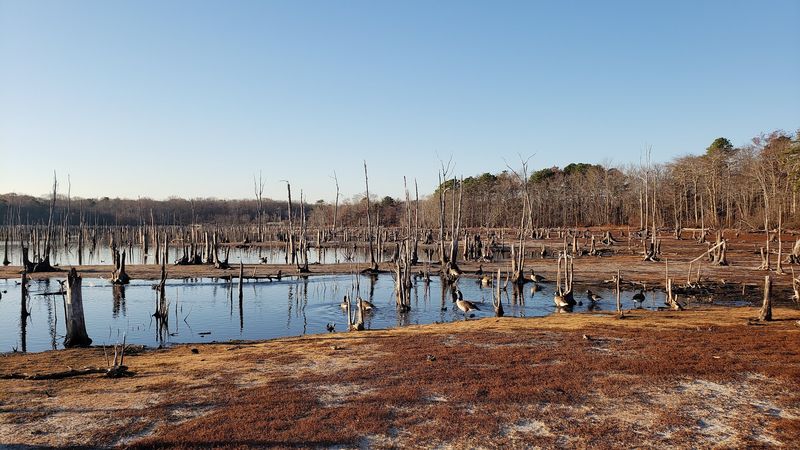 Perimeter Trail - Manasquan Reservoir
