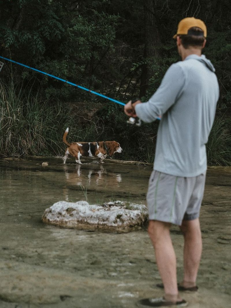 Pet-Friendly Policies That Actually Welcome Your Dog Pet-Friendly Policies That Actually Welcome Your Dog