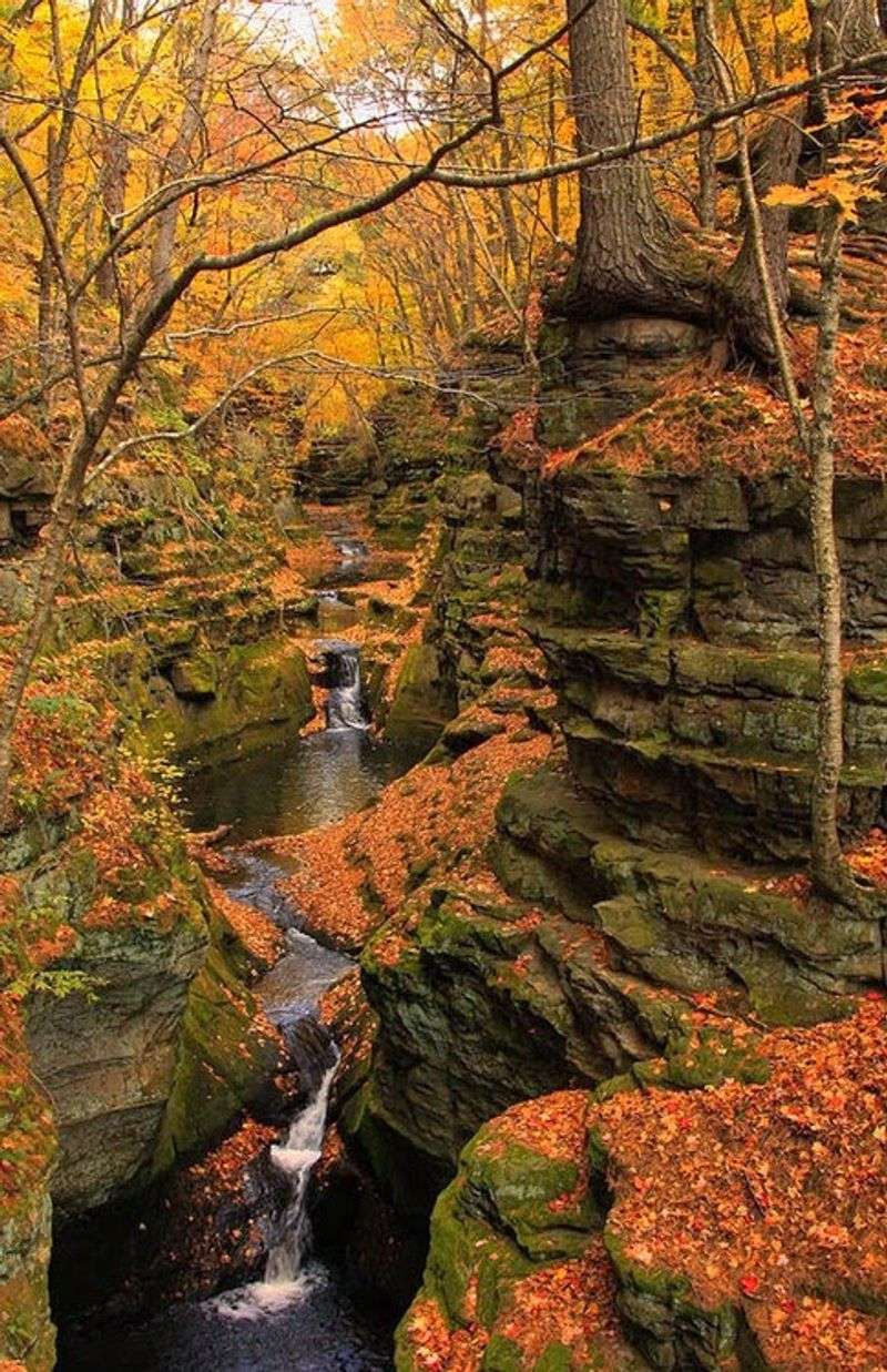 Pewit’s Nest (Baraboo)