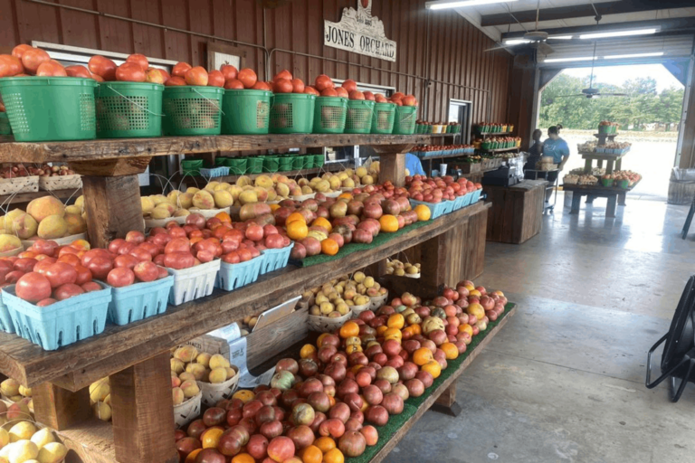 Pick Fresh Blackberries And Discover More Summer Treats At This Classic Tennessee Orchard