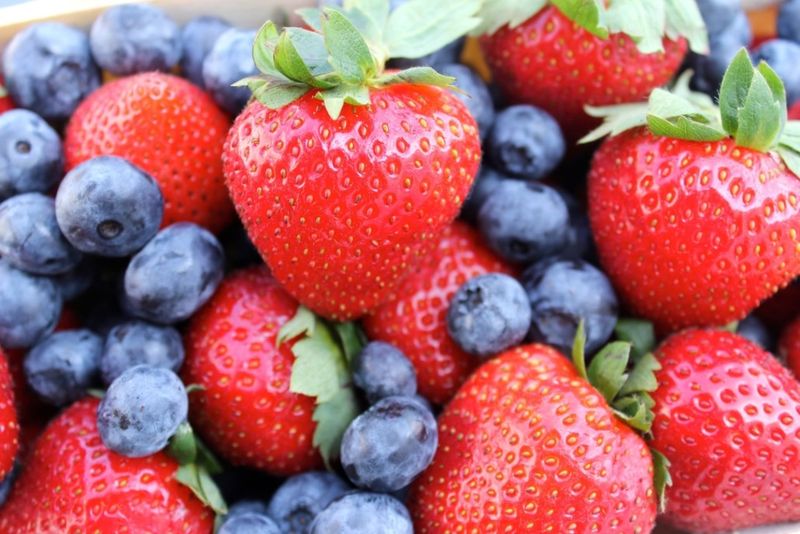 Pick-Your-Own Berry Experience