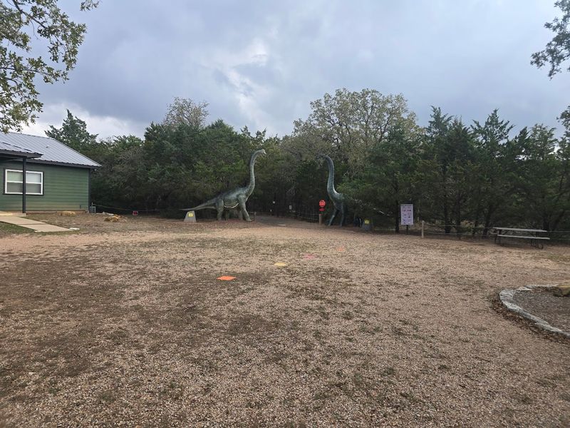 Picnic Area and Benches Picnic Area and Benches