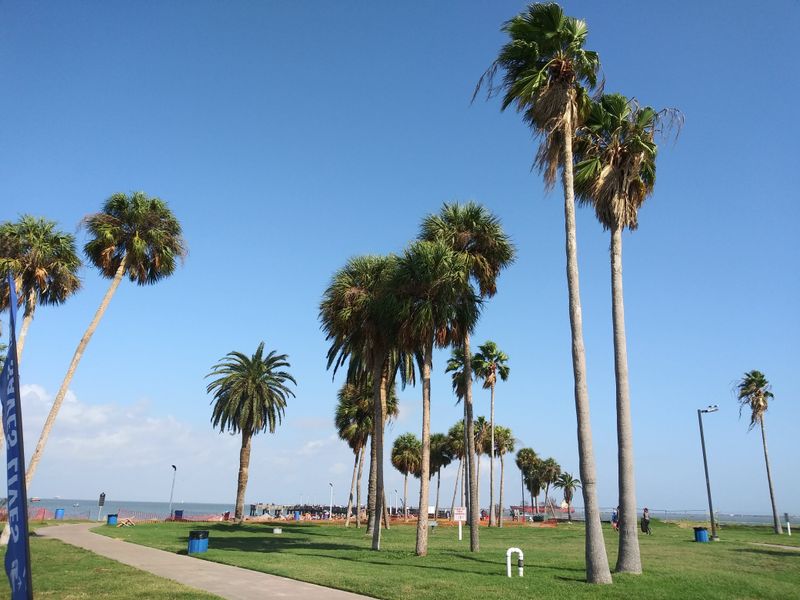 Picnics, Playgrounds, and Easy Relaxation