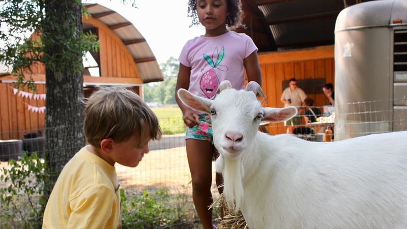 Piedmont Farm Animal Refuge