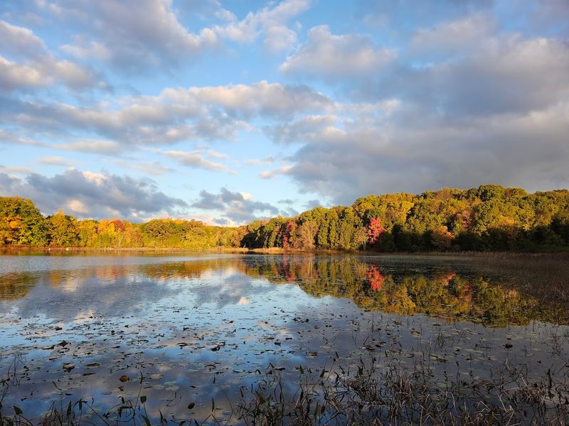 Pinckney Recreation Area – Pinckney/Gregory, MI Pinckney Recreation Area – Pinckney/Gregory, MI