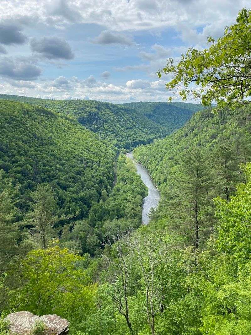 Pine Creek Gorge - Watson Township Pine Creek Gorge - Watson Township