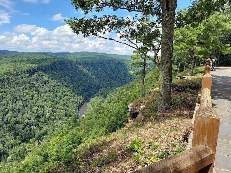Pine Creek Gorge lives up to its Grand Canyon of Pennsylvania nickname