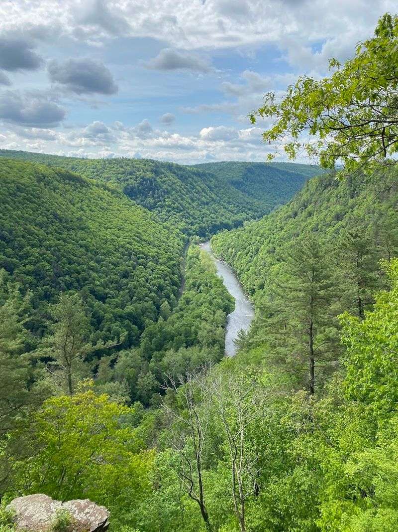 Pine Creek Gorge Pine Creek Gorge