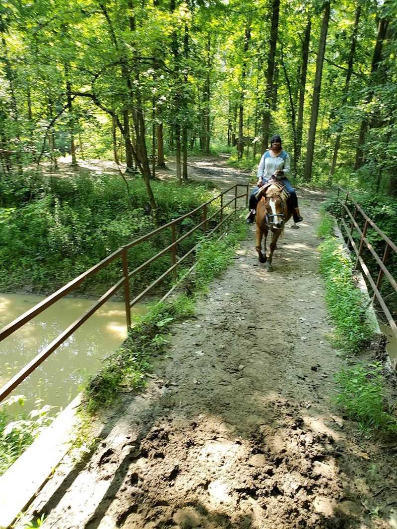 Pine River Stables