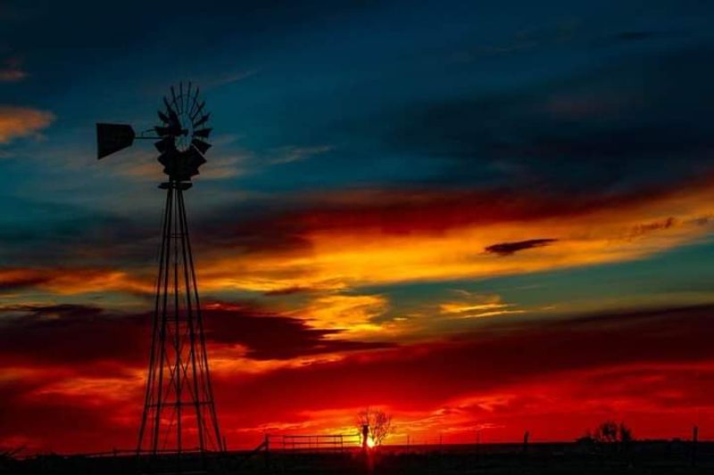 Plainview