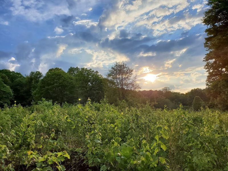 Plan Ahead Before You Wander Into This 85,000-Acre Escape