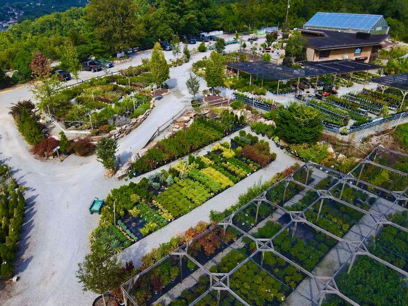 Plumline Nursery