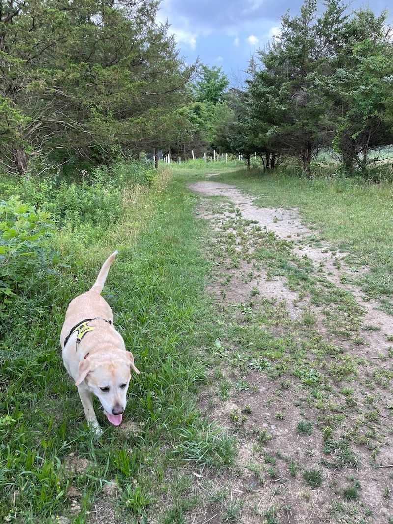 Pole Farm Trails — Mercer Meadows, Lawrence Township