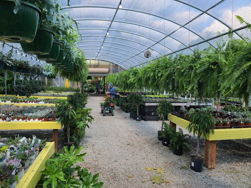 Pope's Garden Center — Knoxville Pope's Garden Center — Knoxville