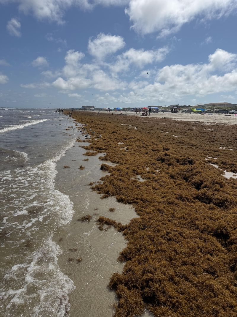 Port Aransas Port Aransas