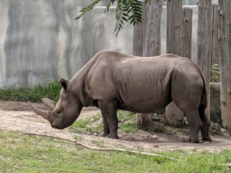 Potter Park Zoo — Lansing