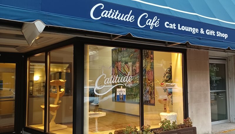 Catitude Cafe (Goshen)