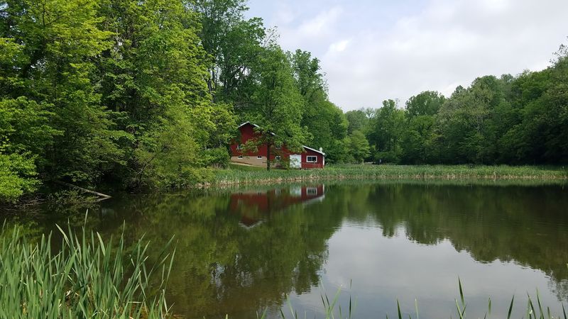The Barn, the Ponds, and the Instant Reset The Barn, the Ponds, and the Instant Reset