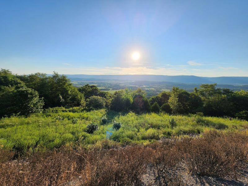 The Valley Views Will Take Your Breath Away Every Single Morning