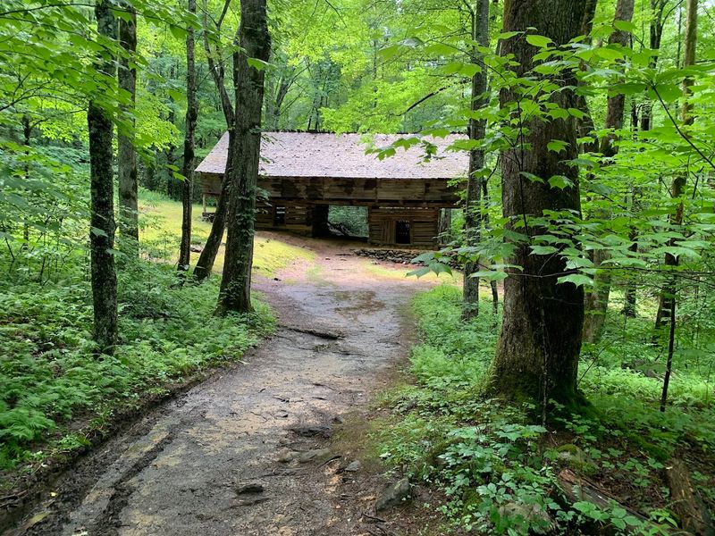 Porters Creek Trail — Greenbrier Area