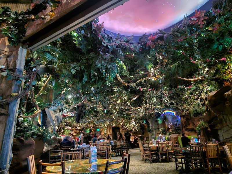 Rainforest Café Rainforest Café