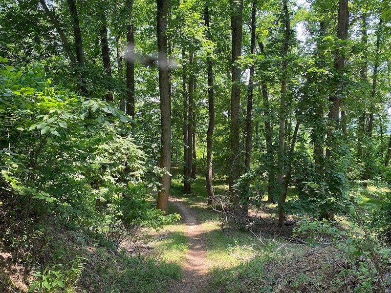 Rancocas State Park Creekside Trail - Hainesport Rancocas State Park Creekside Trail - Hainesport
