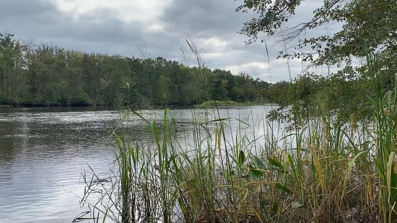 Rancocas State Park Trails Rancocas State Park Trails