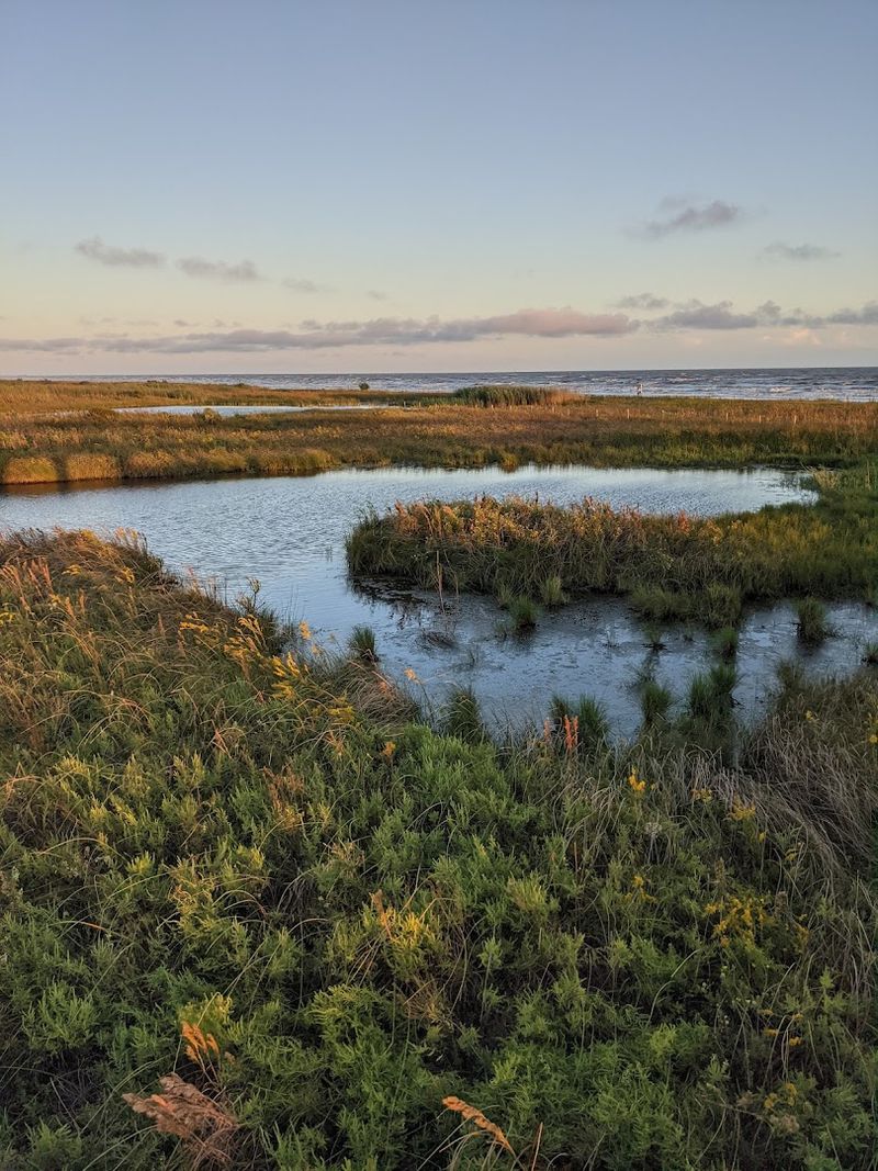 Ranger-Led Crabbing Programs