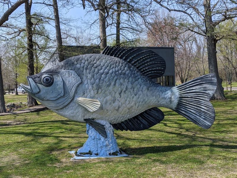 Reelfoot Lake State Park