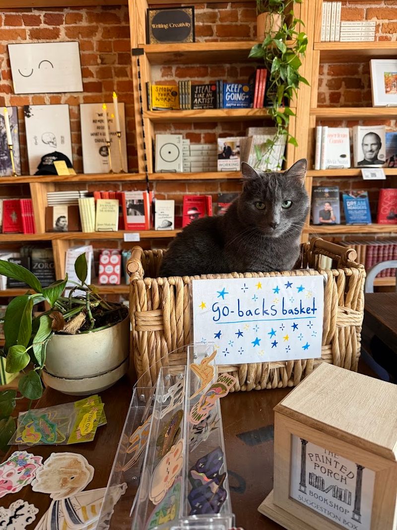Resident Cats Who Actually Have Their Own Book Recommendations Resident Cats Who Actually Have Their Own Book Recommendations