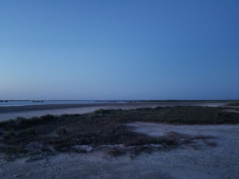 Respecting SpaceX And The Refuge Respecting SpaceX And The Refuge