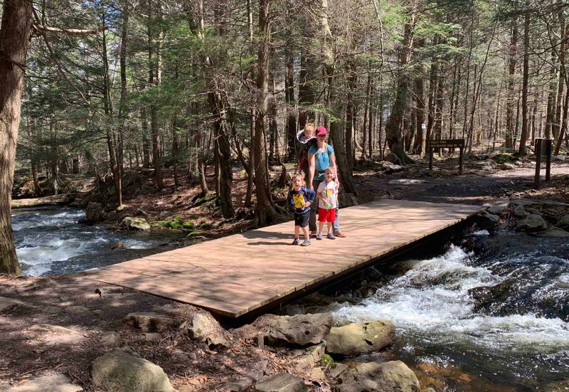Ricketts Glen State Park - Benton, Luzerne County
