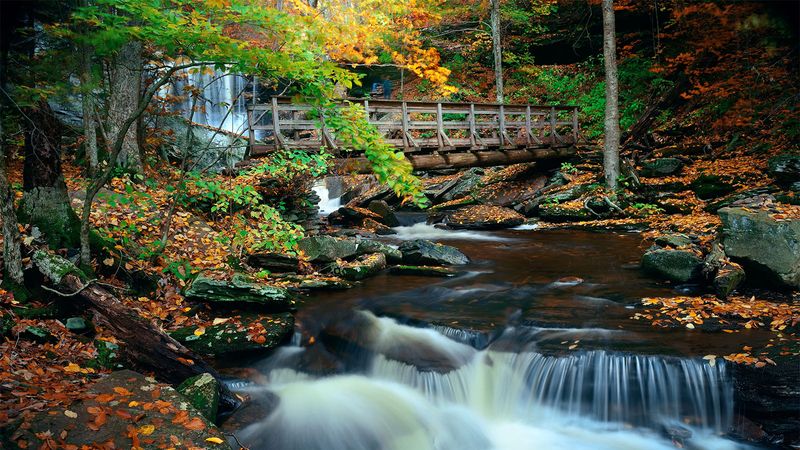 Ricketts Glen State Park, Benton Ricketts Glen State Park, Benton