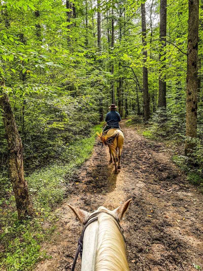 Ride Through Peaceful Trails Surrounded by Mountain Beauty Ride Through Peaceful Trails Surrounded by Mountain Beauty