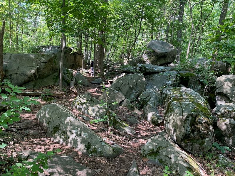 Ridge Trail - Sourland Mountain Preserve